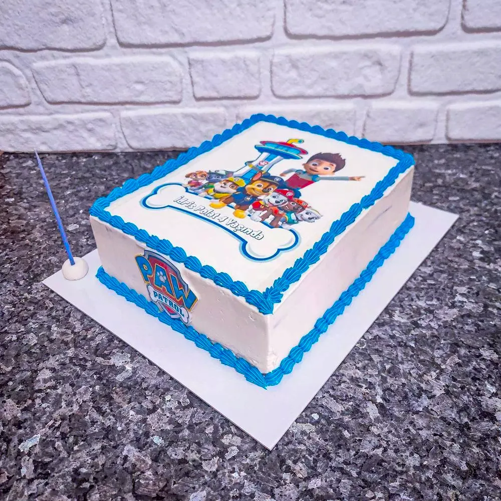 Paw Patrol Resimli Pasta